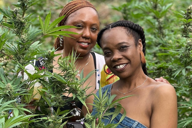 Montego Bay : Visite privée de la ferme de marijuana avec transportDu lieu de rendez-vous Grand Palladium/Lady Hamilton