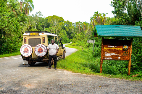 Safari salvaje y de primates de 10 días por Uganda.