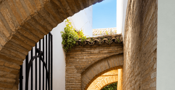 Sightseeing Tour of Córdoba&#39;s Courtyards, Jewish Quarter, and Synagogue