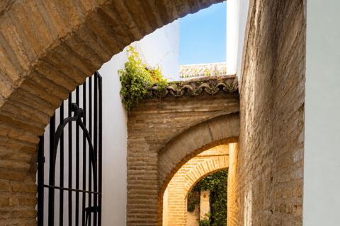 Córdoba Courtyards, Jewish Quarter and Synagogue Sightseeing Tour Cordoba's Courtyards, Jewish Quarter and Synagogue Sightseeing Tour