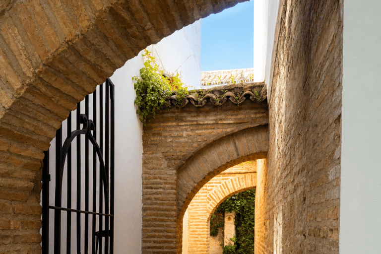 Córdoba Courtyards, Jewish Quarter and Synagogue Sightseeing Tour Cordoba's Courtyards, Jewish Quarter and Synagogue Sightseeing Tour