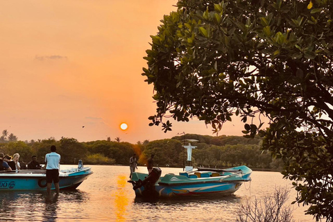 From Negombo: Boat Tour of Negombo Lagoon