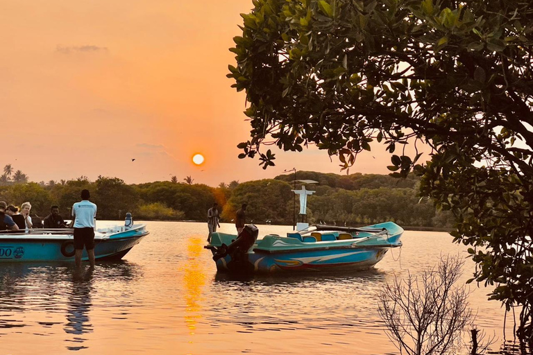 From Negombo: Boat Tour of Negombo Lagoon
