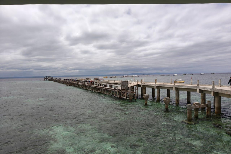 Cebu Nalusuan Island & Marine Sanctuary | Joiners Tour Nalusuan Island Tour