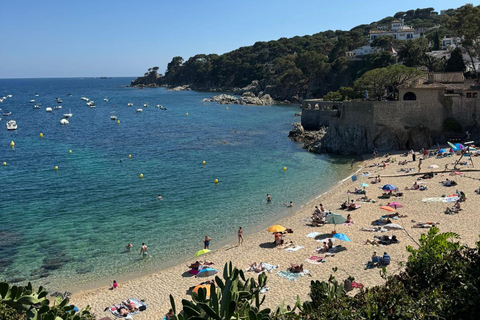 Barcelona: Private Trip, Girona, Medieval Town, Coast & Wine Private Day Trip