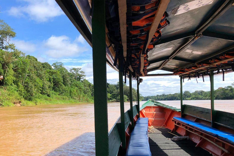 Puerto Maldonado: 6-Day Amazon Tour with Sandoval Lake