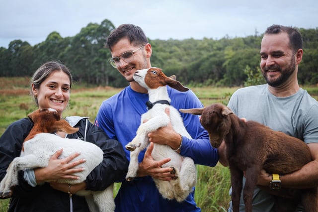 Hilo: Alimenta con biberón y abraza a las cabritas