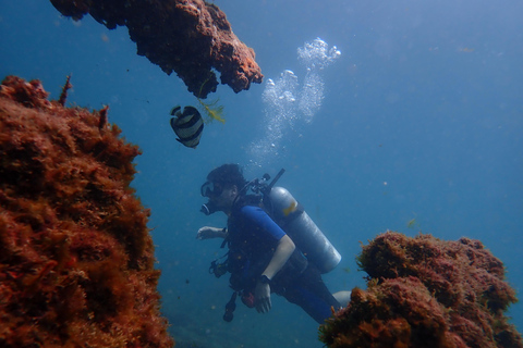 Departure from Salvador: Scuba Diving in the Waters of Baía de Todos os Santos Scuba Diving Baptism in Shipwrecks in the Bay of All Saints