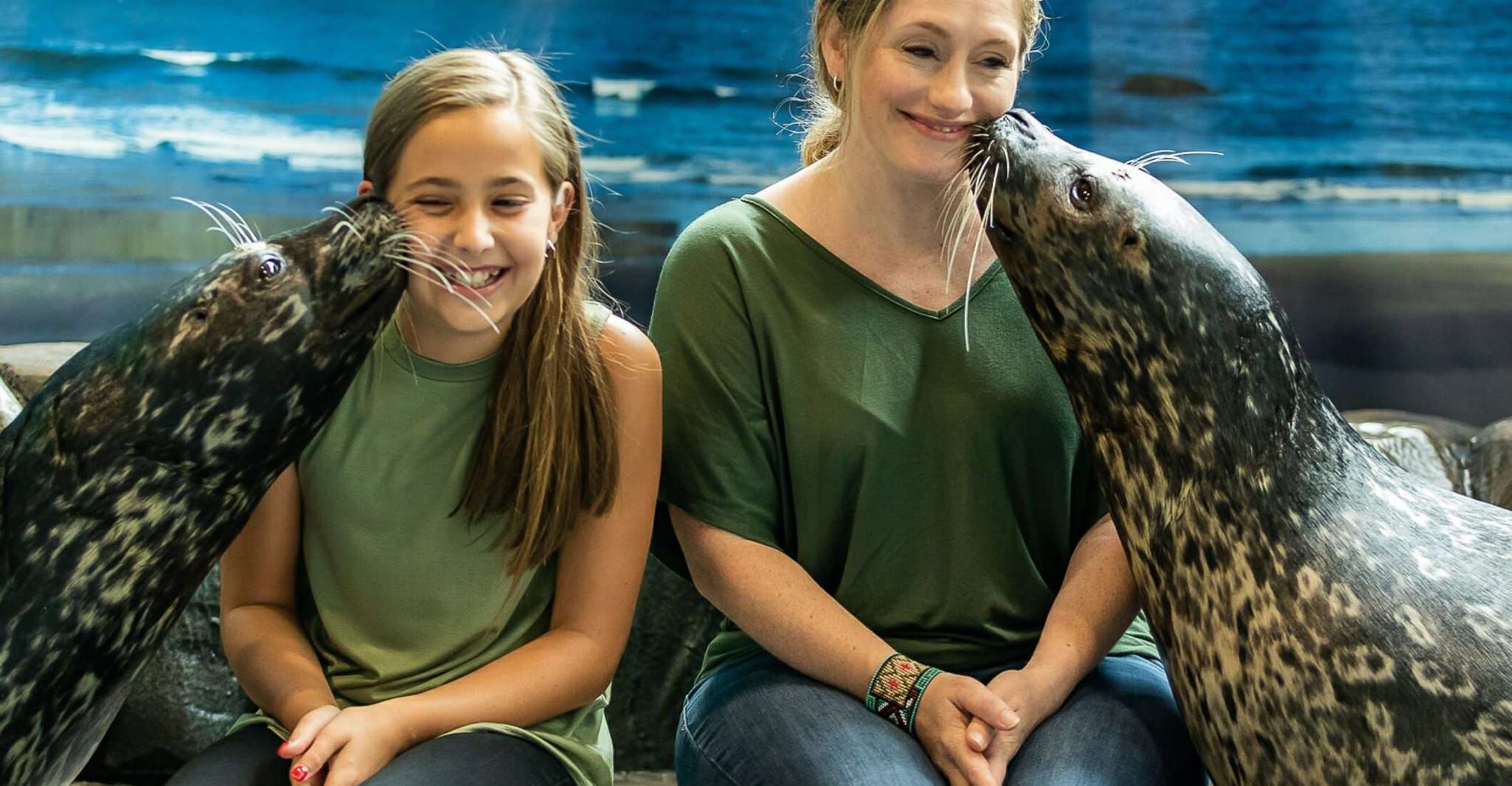 Georgia Aquarium, Haven Seal Animal Encounter - Hizvo