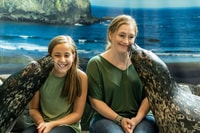 Aquarium de Géorgie, Rencontre des animaux du phoque du port - Hizvo