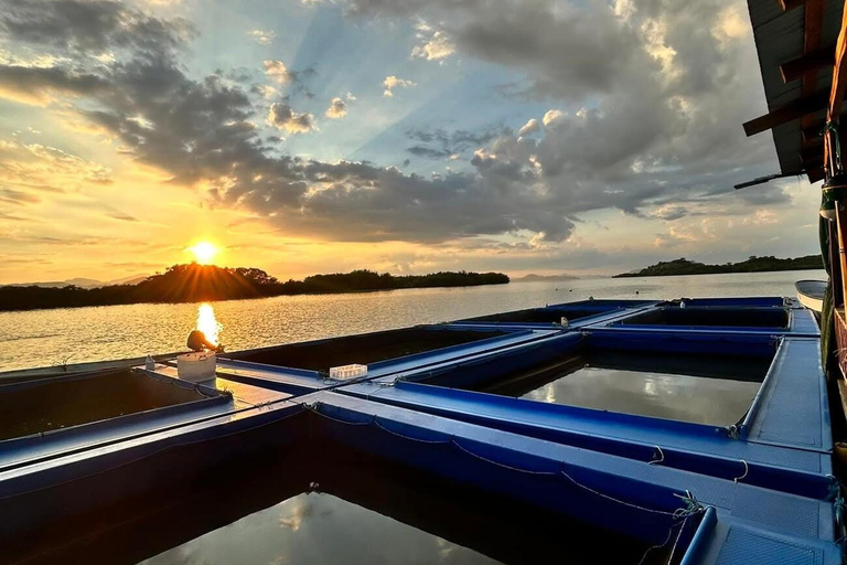 Seafood Gastronomic Tour to the Floating Restaurant of Puntarenas by boat