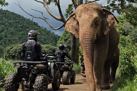 清迈：粘粘瀑布、全地形车和滑索一日旅行清迈：黏黏瀑布、全地形车和滑索一日旅行