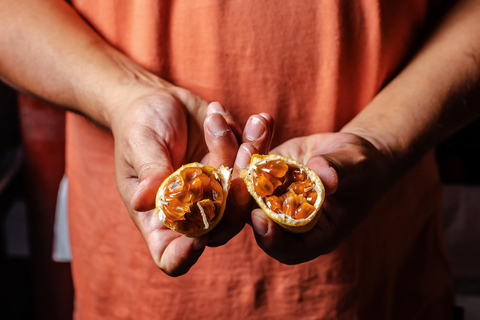 Lima: Criollo Nights Food Tour with 14+ Tastings