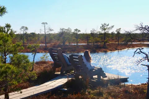 De Riga: Visita ao Parque Nacional de Jūrmala e Ķemeri com piquenique