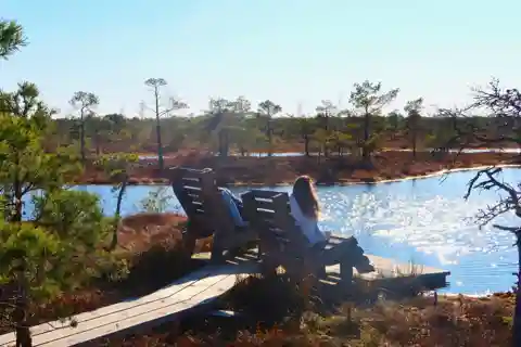 Au départ de Riga : visite du parc national de Jūrmala et de Ķemeri avec pique-nique