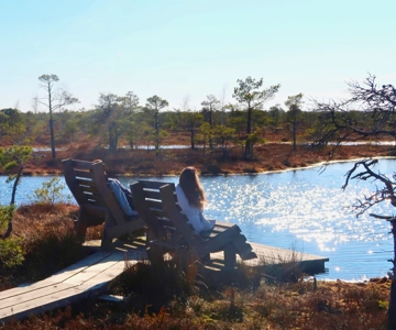 From Riga: Jūrmala & Ķemeri National Park Tour with Picnic