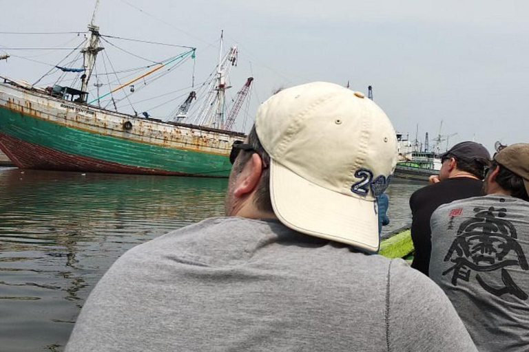 Tour di un giorno in crociera: Escursioni a terra a Giacarta