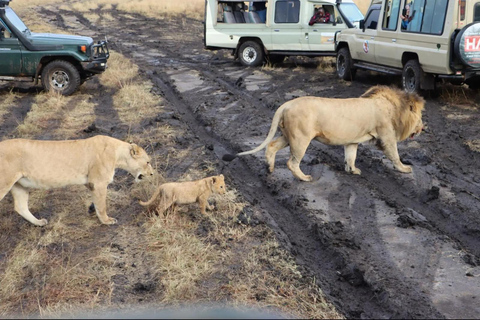 Pacote de 3 dias e 2 noites para Masai Mara