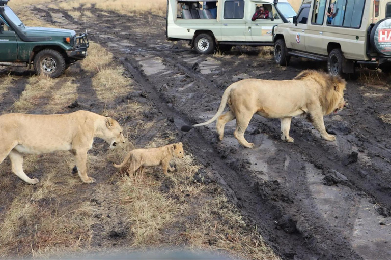 Pacote de 3 dias e 2 noites para Masai Mara