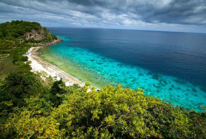 Maravillas de la isla de Apo: bucea con tortugas marinas en Dumaguete