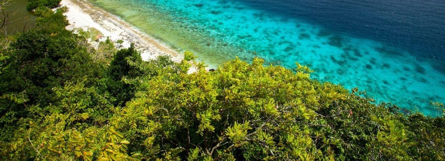 Les merveilles de l'île d'Apo : plongée avec tuba parmi les tortues de mer à Dumaguete