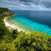 Apo Island Snorkel with Sea Turtles
