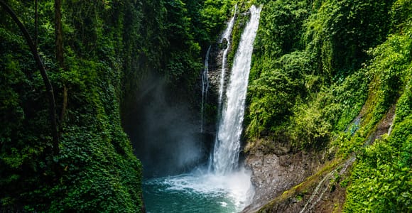 North Bali: Dolphin Swim, Snorkeling, & Waterfall Cliff Jump