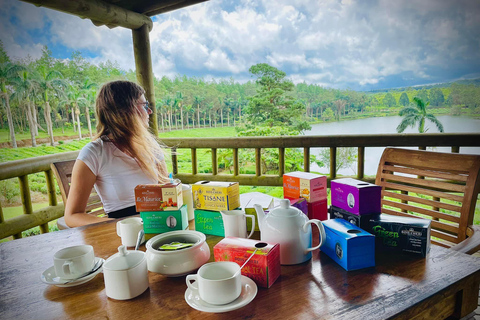 Los lugares imprescindibles de Mauricio(Copia de) Los lugares imprescindibles de Mauricio