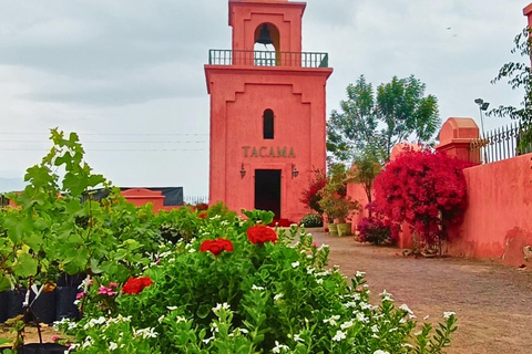 Visite de la cave Tacama - Tour Don Manuel avec dégustationVisite du vignoble Tacama - Don Manuel et dégustation