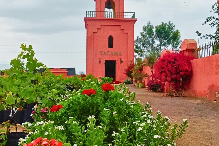 Visite de la cave Tacama - Tour Don Manuel avec dégustationVisite du vignoble Tacama - Don Manuel et dégustation