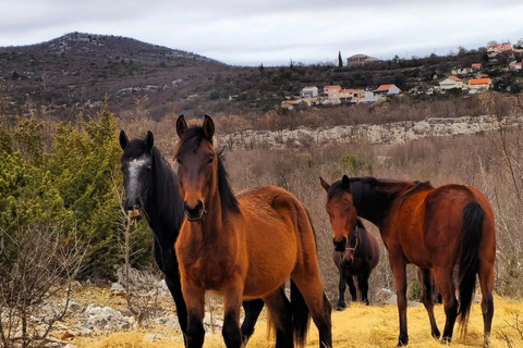 From Split: Imotski Lakes & Dalmatian Hinterland Day Trip