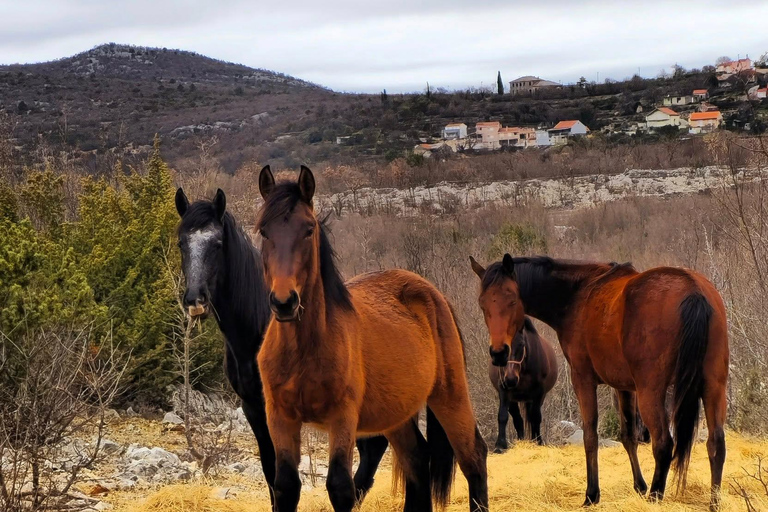 From Split: Imotski Lakes & Dalmatian Hinterland Day Trip