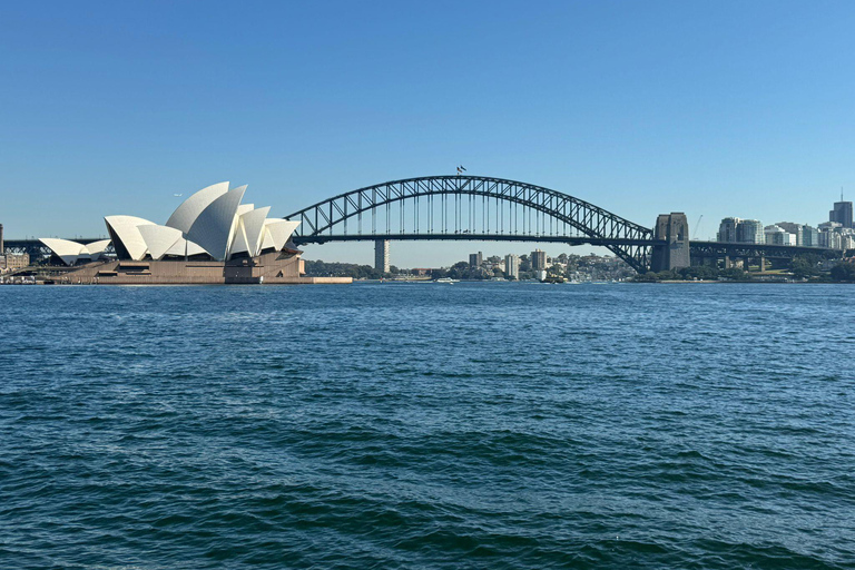 Passeio turístico de 1/2 dia em Sydney e Bondi Beach Tour