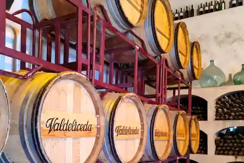 WIZYTA Z PRZEWODNIKIEM W BODEGA DEL NERO