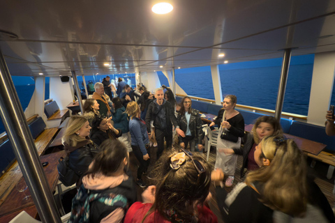 Lárnaca: crucero con fiesta al atardecerLarnaca: Crucero con fiesta al atardecer