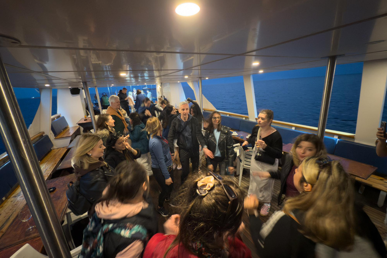 Lárnaca: crucero con fiesta al atardecerLarnaca: Crucero con fiesta al atardecer