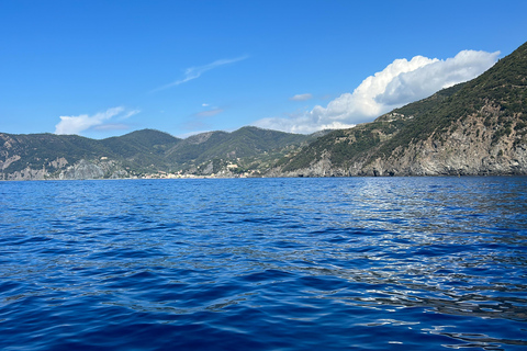 Exclusieve Cinque Terre dagtour per veerboot met stop in Pisa