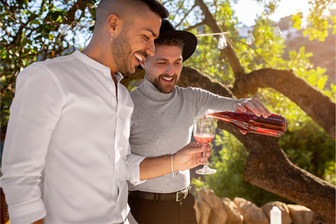 From Madrid to Castilla & León: Hidden Vineyards and Towns