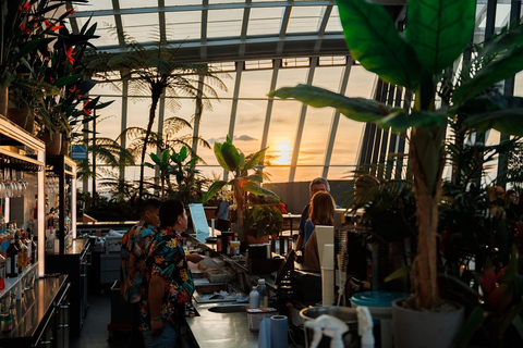 London: Sky Garden Music Night Ticket & Glass of Fizz Special Offer: Ticket + Audio