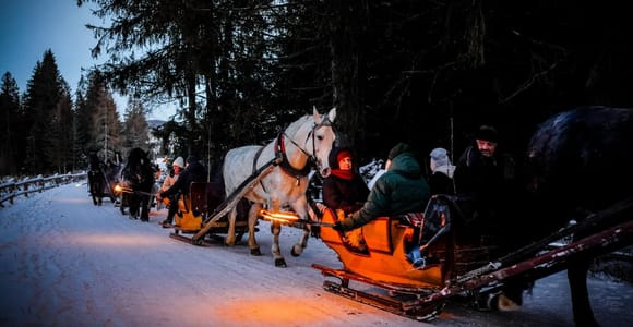 VIP Chochołowska Valley Horse Sleigh from Zakopane