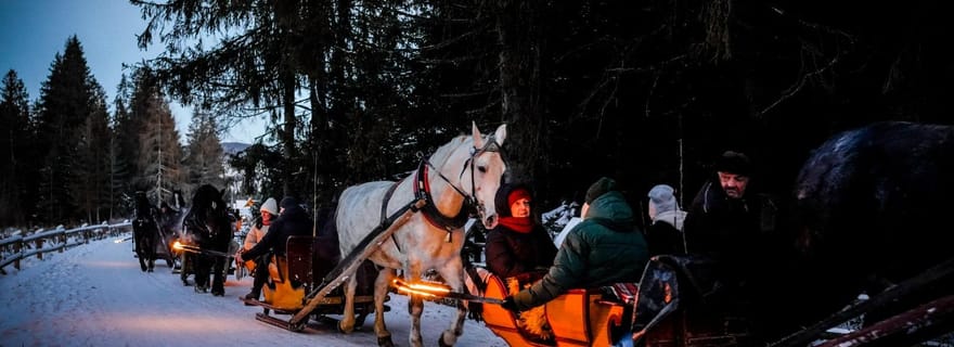 Traîneau à chevaux VIP dans la vallée de Chochołowska depuis Zakopane