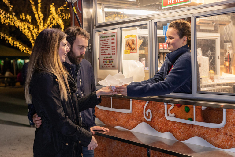 Charleston: Holiday Festival of Lights Tour with S'mores Kit