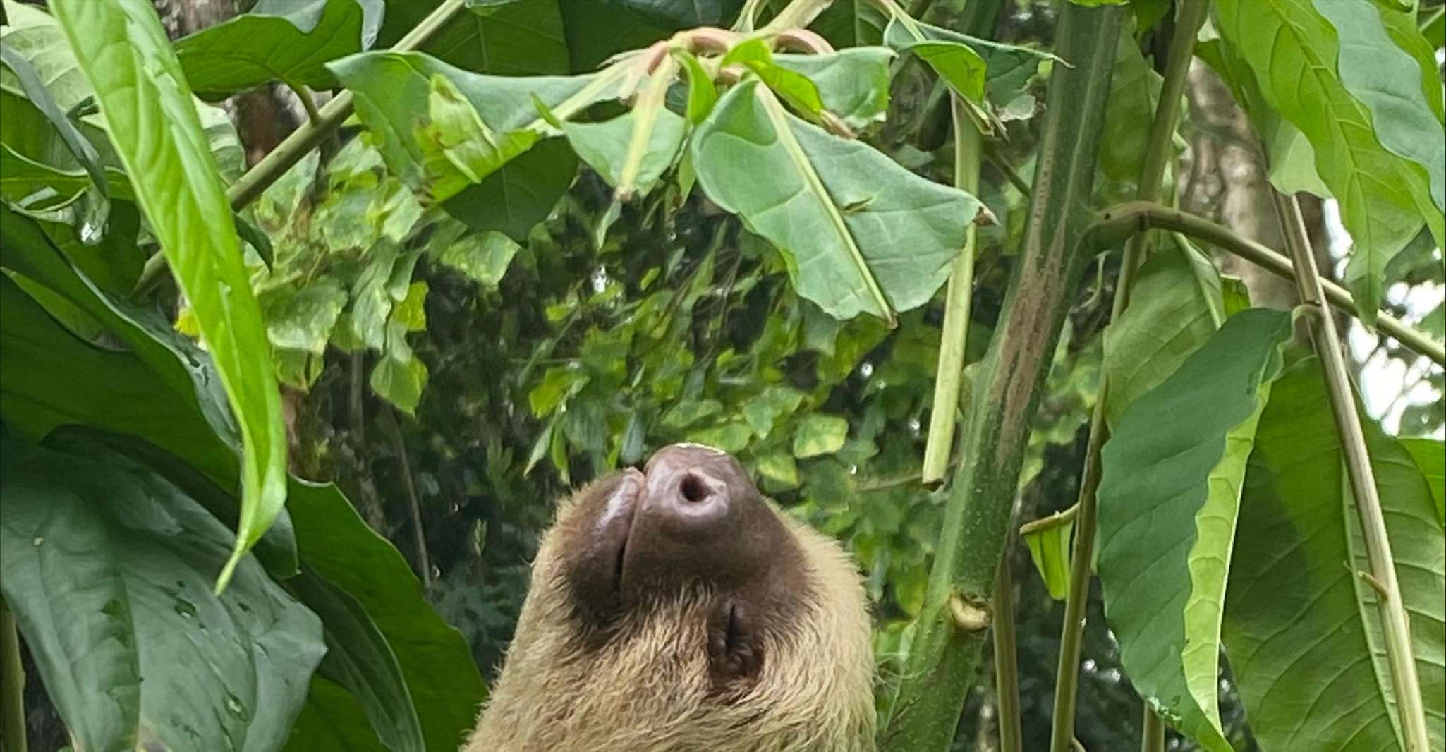 Cahuita, Guided Hike Through Cahuita National Park - Housity