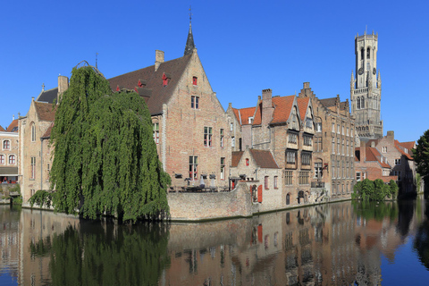 Bruselas: Brujas Excursión de un día en privado con un lugareño