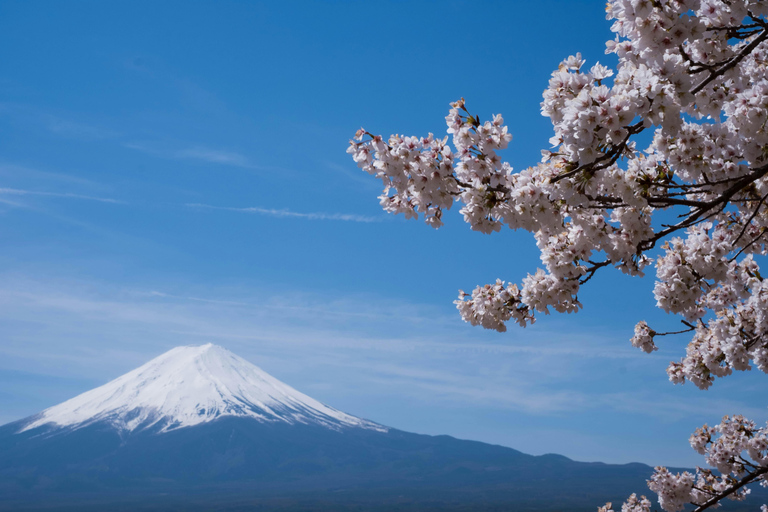 1-Day Mt Fuji Sightseeing trip from Tokyo 1-Day Mt Fuji Sightseeing trip with English Speaking Guide