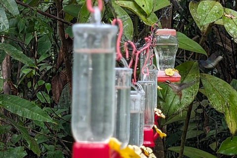 Panamá; San Blas Dos días en la selva todo incluido