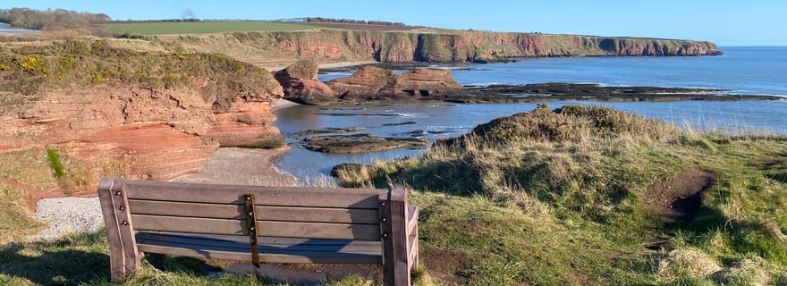 Arbroath : visite guidée à pied des falaises de Seaton avec un géologue
