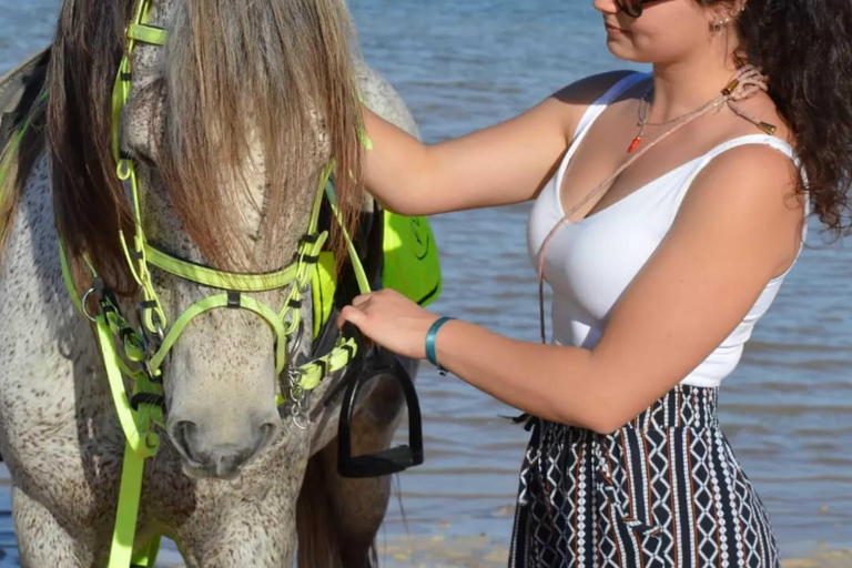 Horseback ride: Village and Blue Lagoon Horseback riding: Village and Blue Lagoon