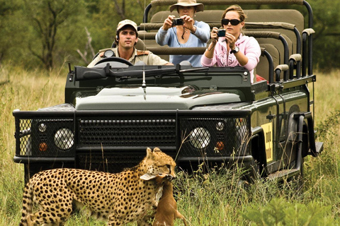 Full Day Safari in Chobe National Park From Victoria Falls