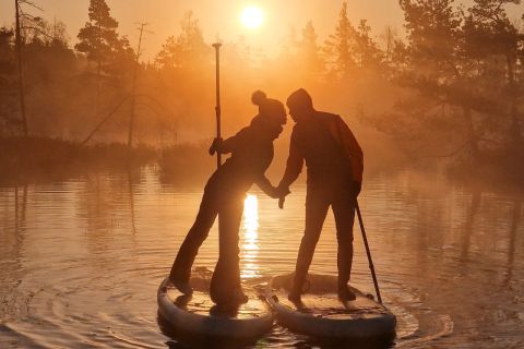 Riga: tour dell'alba in paddle board con prelievo (pubblico)